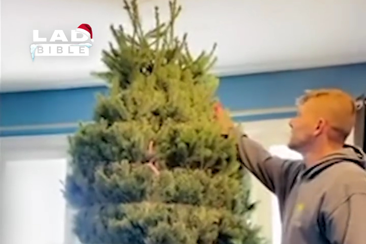 Anh Trai Bị "Hạ Đo Ván” Bởi Cây Thông Noel